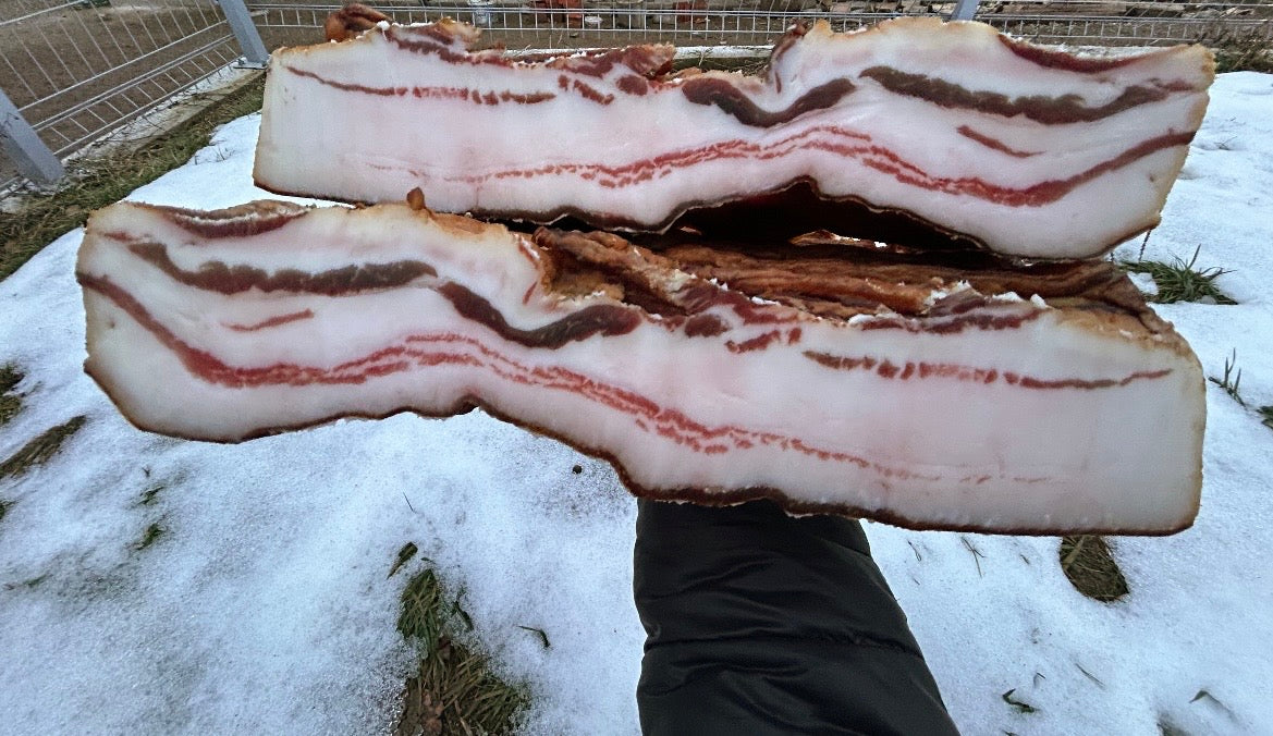 Slanina od mangulice šarena